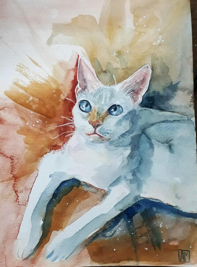 "Maciota". Retrato em aquarela do gato Maciota, presenteado à amigos, 2021.